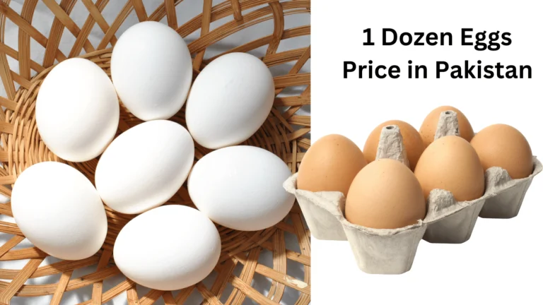 1 Dozen Eggs Price in Pakistan