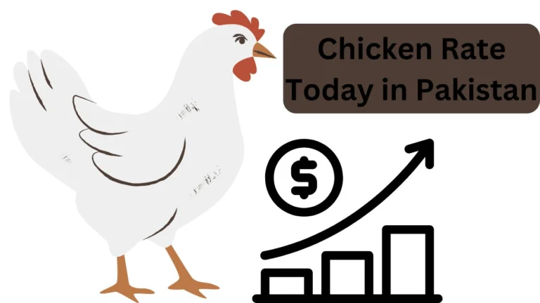 Chicken Rate Today in Pakistan