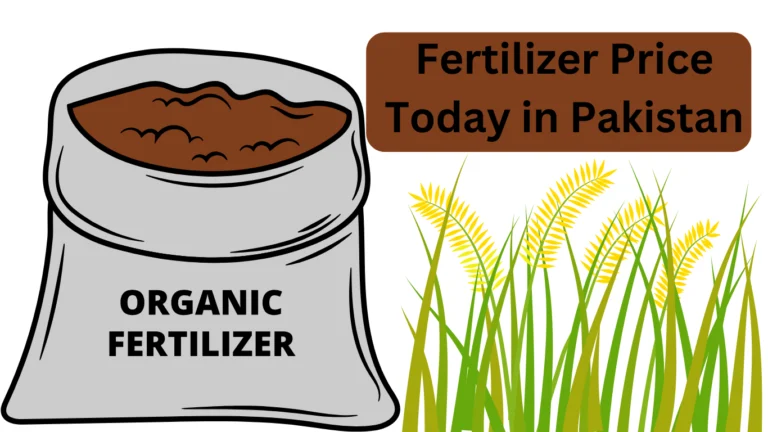 Fertilizer Price Today in Pakistan