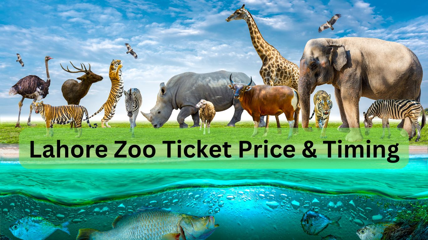 lahore zoo ki timing