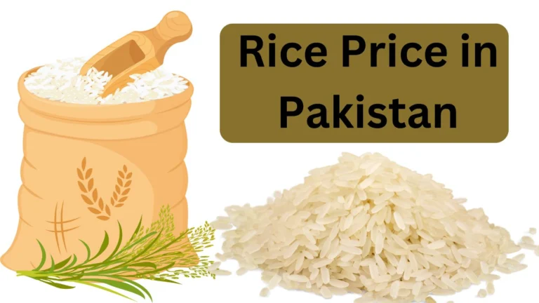 Rice Price in Pakistan Today
