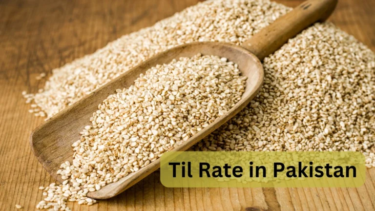 Til Rate in Pakistan Today